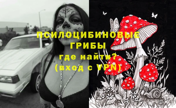 эйфоретик Нея