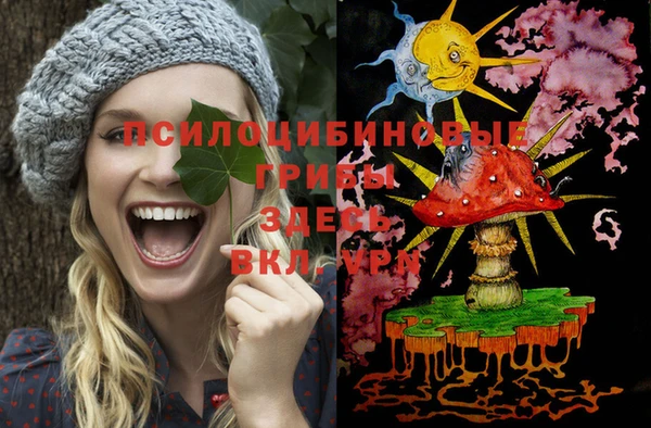 эйфоретик Нея