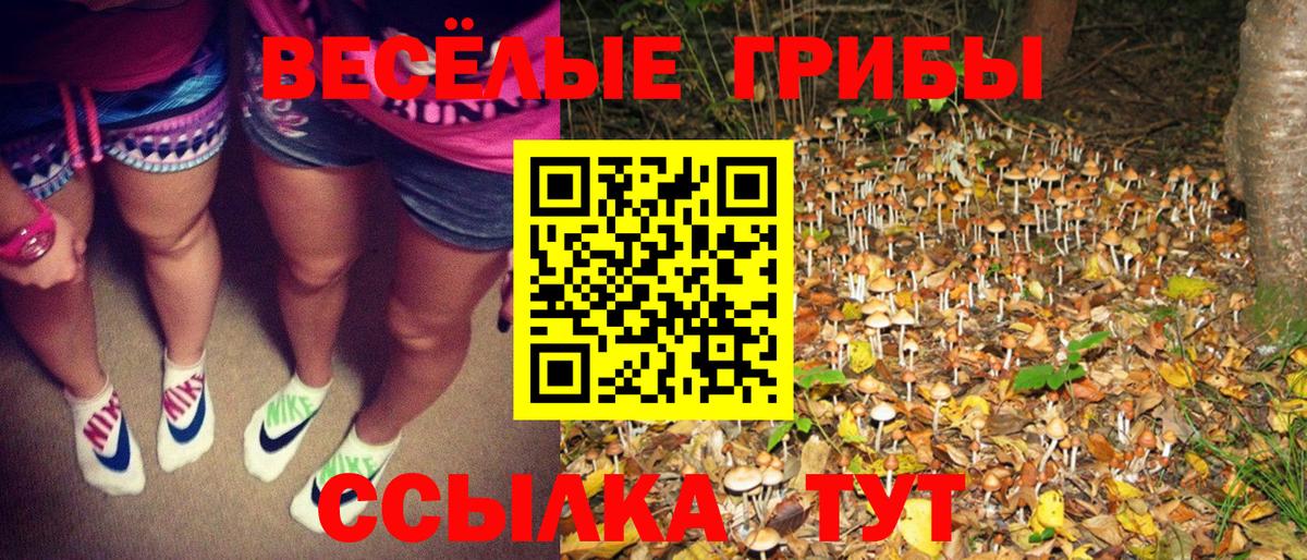 ГАШИШ  МЕТАДОН  Канабис  Cocaine  МЕФ  Мурманск  МЕФ кристаллы  Вход с VPN  Гашиш 