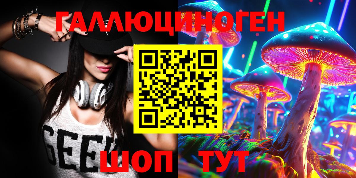 Галлюциногенные грибы Psilocybe Мурманск