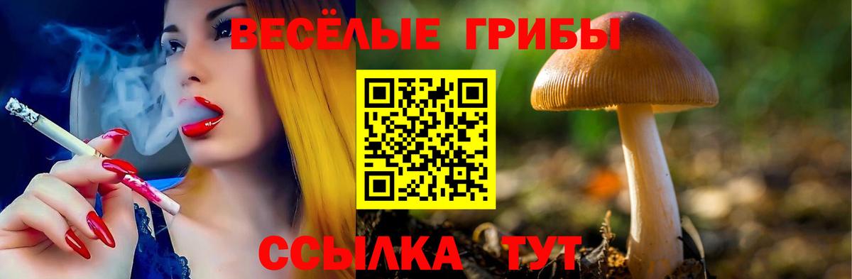 Галлюциногенные грибы ЛСД  Псилоцибиновые грибы прущие грибы  Вход с VPN  Мурманск 